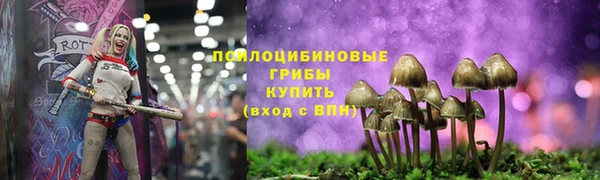 трава Богородицк