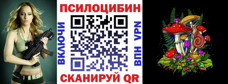 Псилоцибиновые грибы Psilocybine cubensis Краснокамск